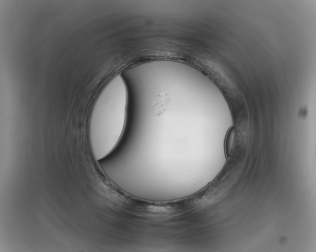 X0000097900457200803141010