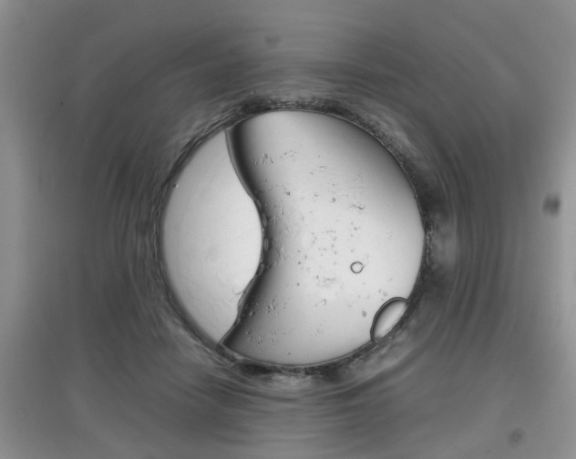 X0000097900458200803141010