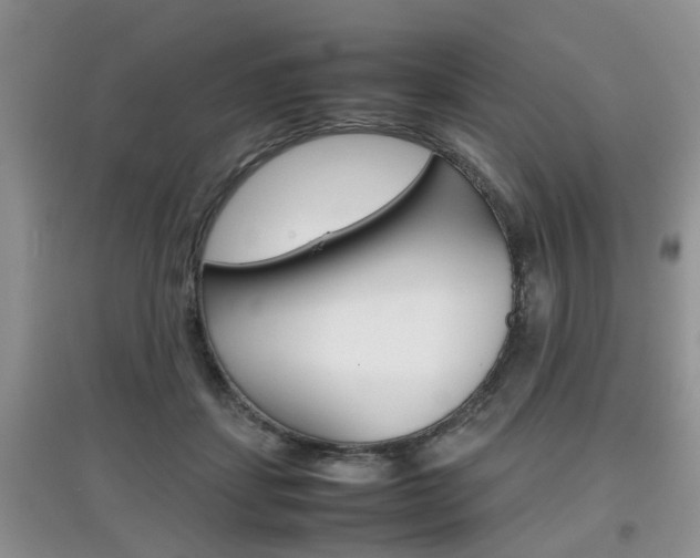 X0000097900459200803141010