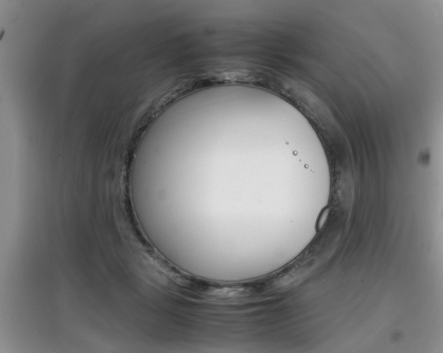 X0000097900461200803141010