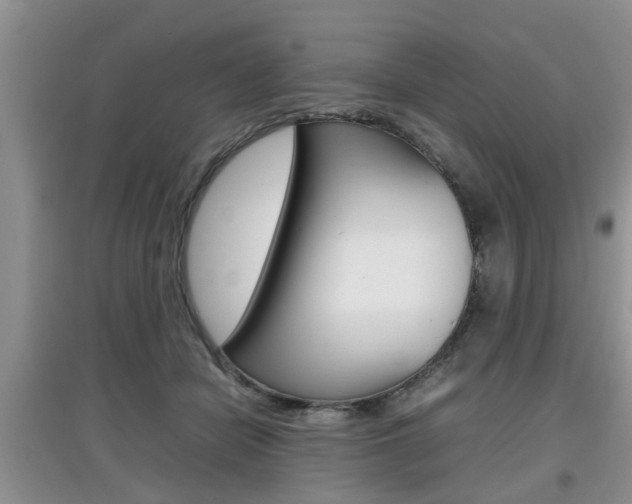 X0000097900462200803141010