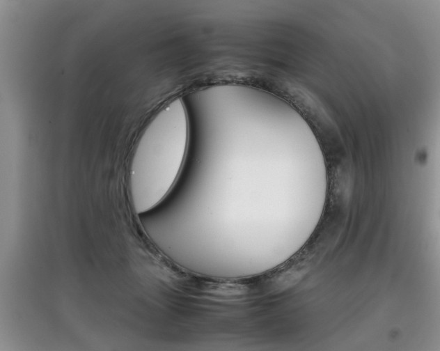 X0000097900463200803141010