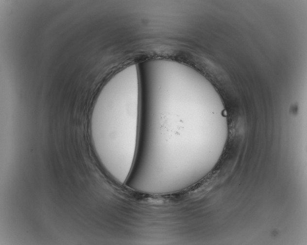 X0000097900464200803141010