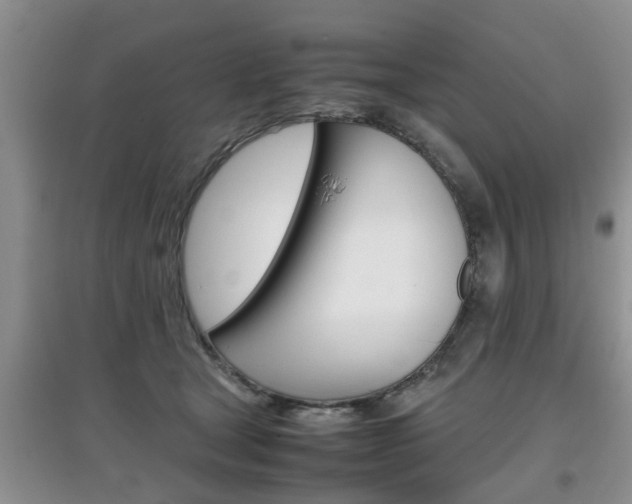 X0000097900465200803141010