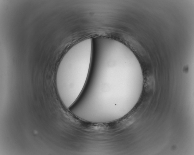 X0000097900466200803141010