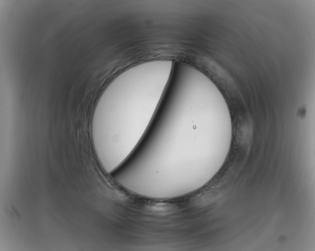 X0000097900467200803141010