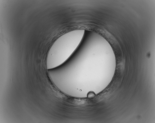 X0000097900469200803141010