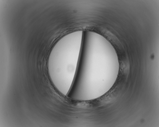 X0000097900470200803141010