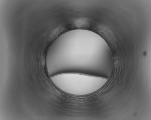 X0000097900471200803141010