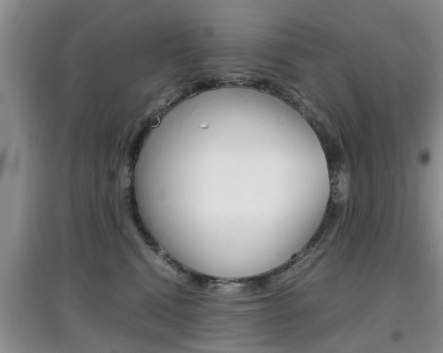 X0000097900472200803141010