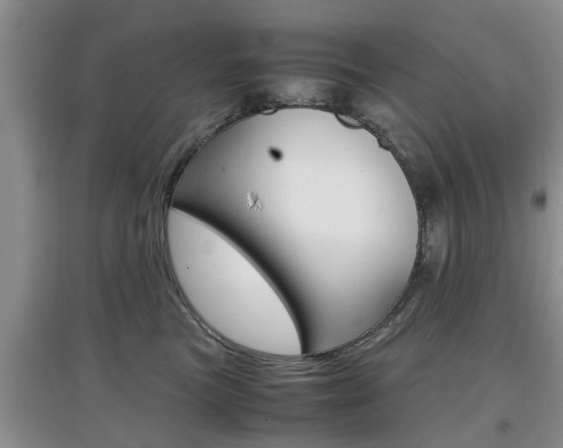 X0000097900473200803141010