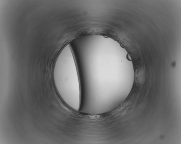 X0000097900474200803141010