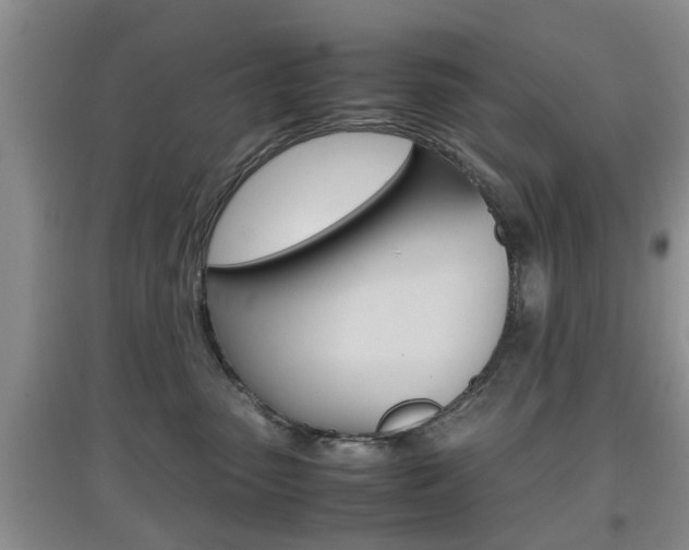 X0000097900475200803141010