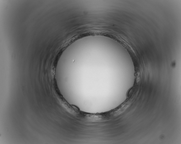 X0000097900476200803141010