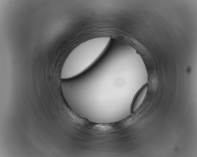 X0000097900477200803141010
