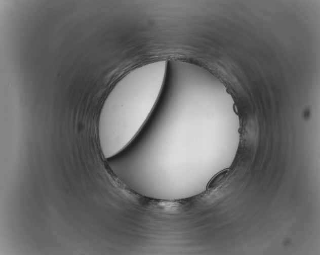 X0000097900478200803141010