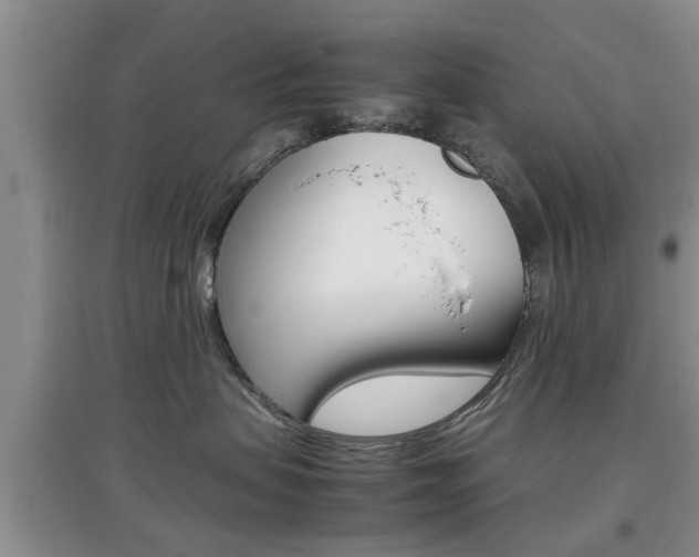 X0000097900479200803141010