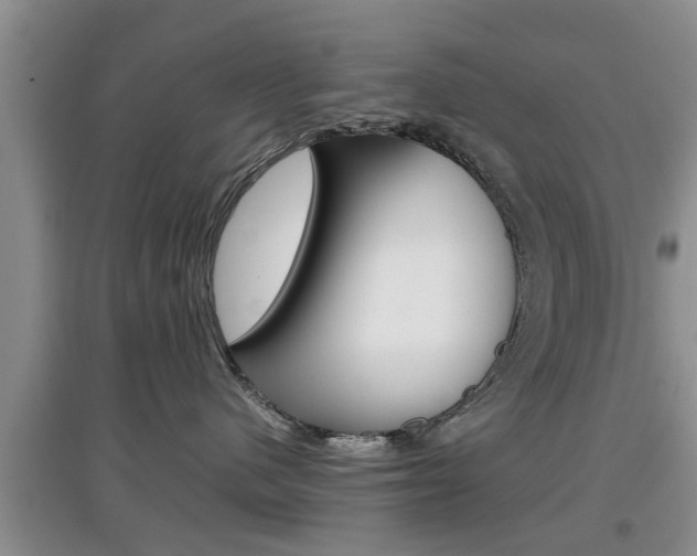 X0000097900480200803141010