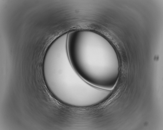 X0000097900481200803141009