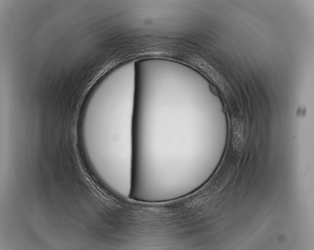 X0000097900482200803141009