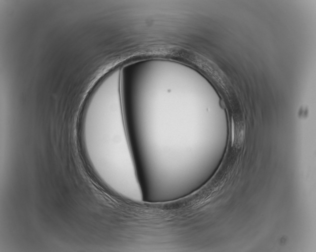 X0000097900483200803141009