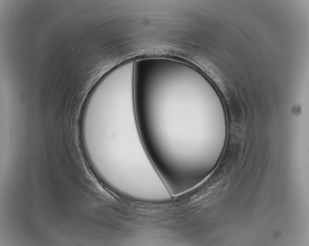 X0000097900485200803141009