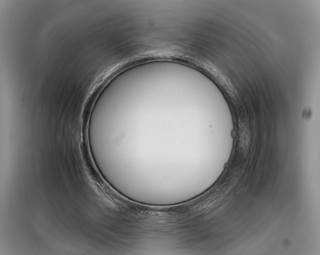 X0000097900486200803141009