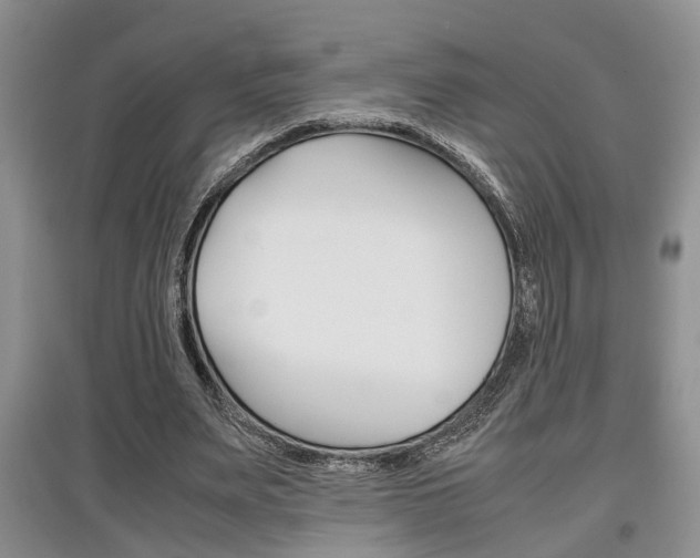 X0000097900487200803141009