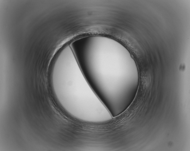 X0000097900488200803141009