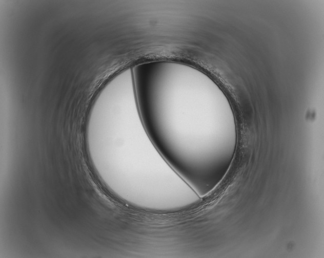 X0000097900489200803141009