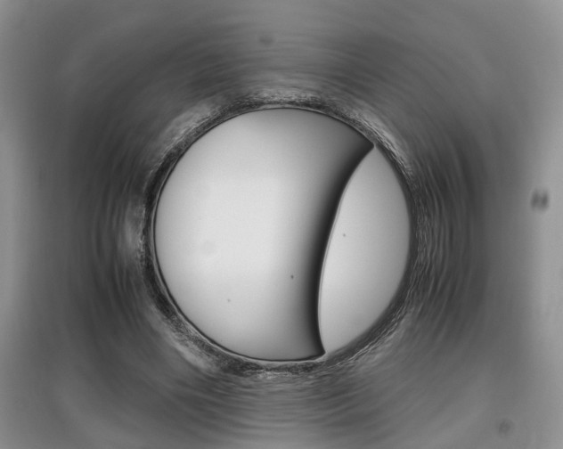 X0000097900490200803141009