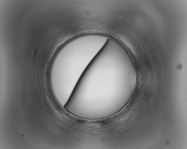X0000097900491200803141009