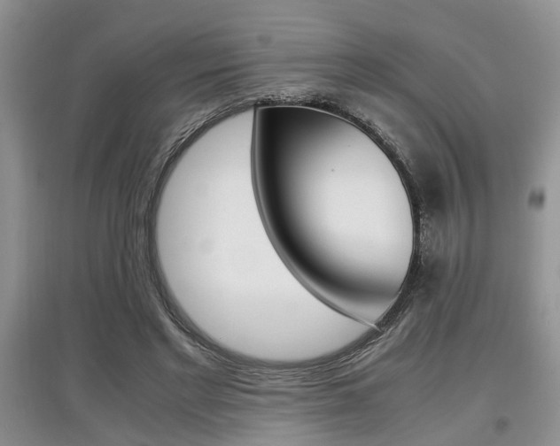 X0000097900493200803141009