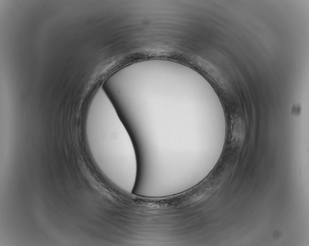 X0000097900494200803141009