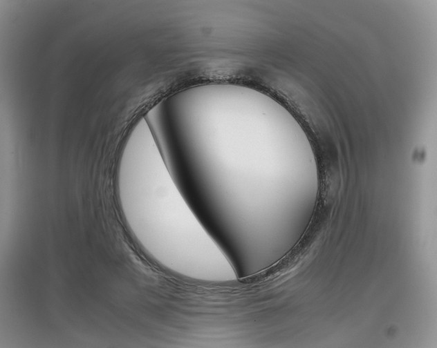 X0000097900497200803141009