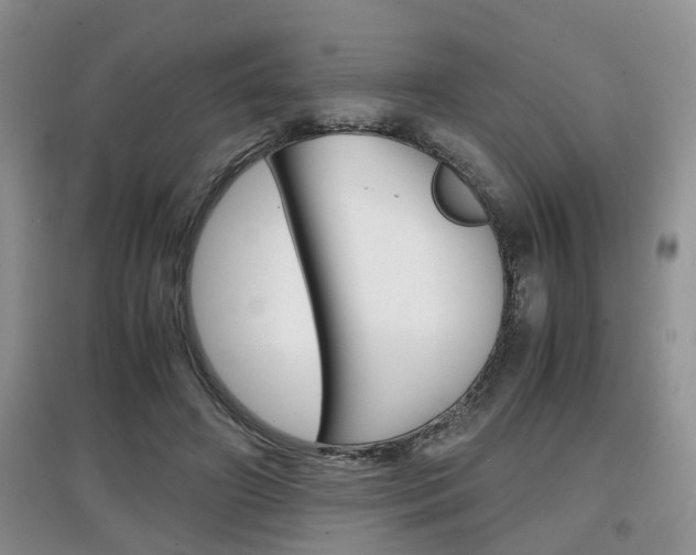 X0000097900498200803141009