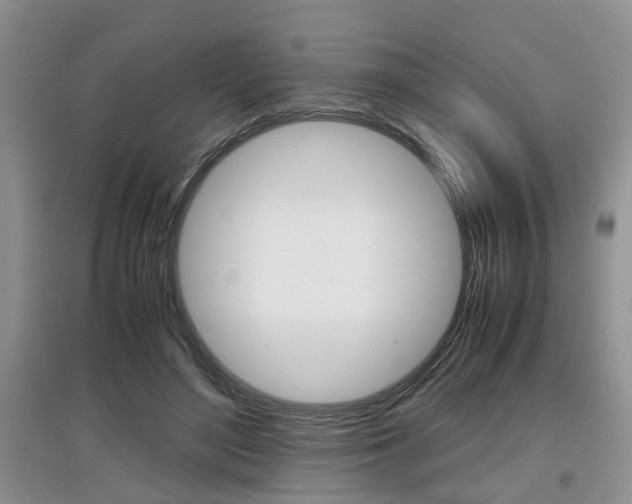 X0000097900500200803141009