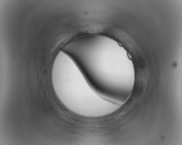 X0000097900501200803141009