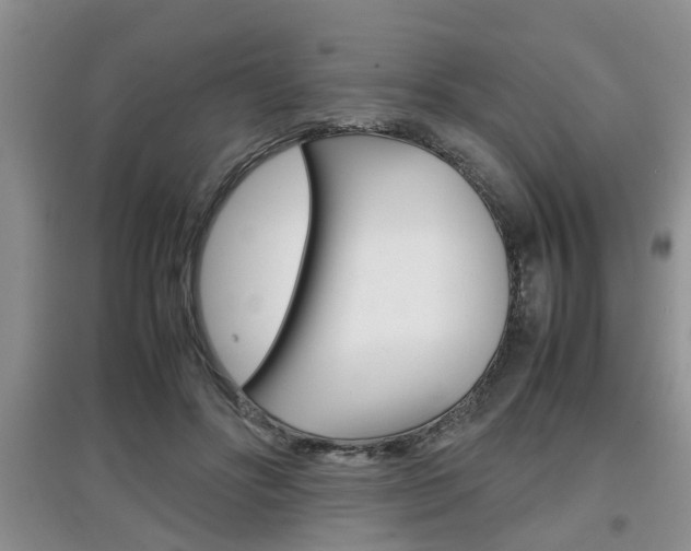 X0000097900502200803141009