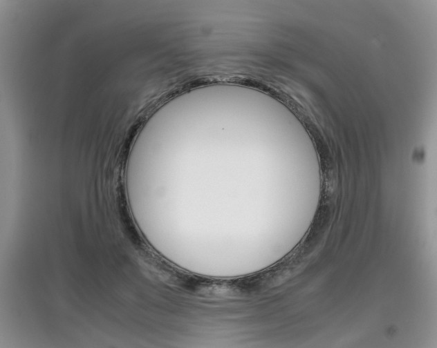 X0000097900503200803141009