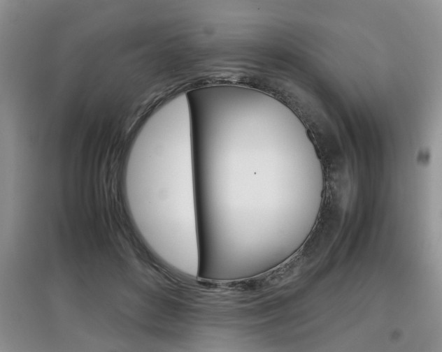 X0000097900504200803141009