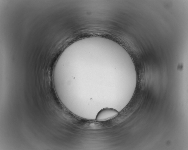 X0000097900506200803141009