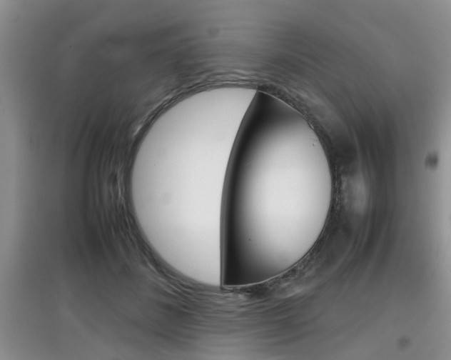 X0000097900508200803141009