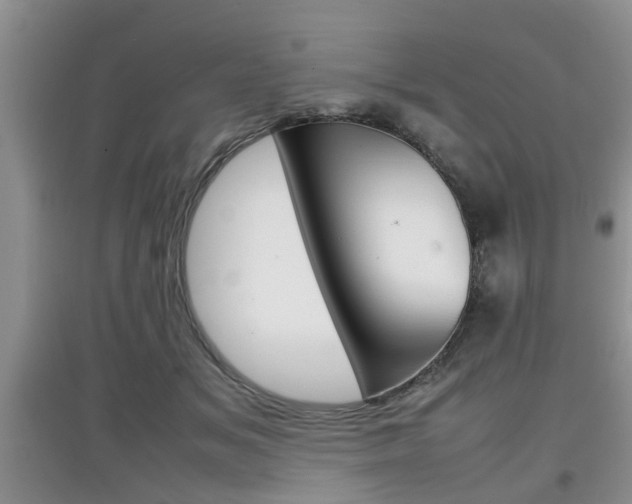 X0000097900509200803141009