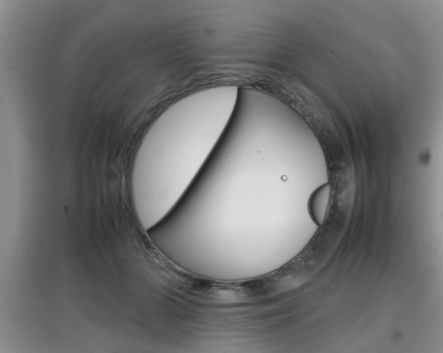 X0000097900510200803141009