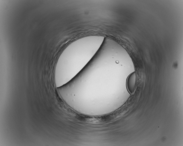 X0000097900511200803141009