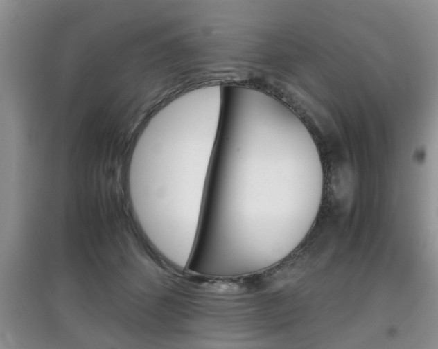 X0000097900512200803141009