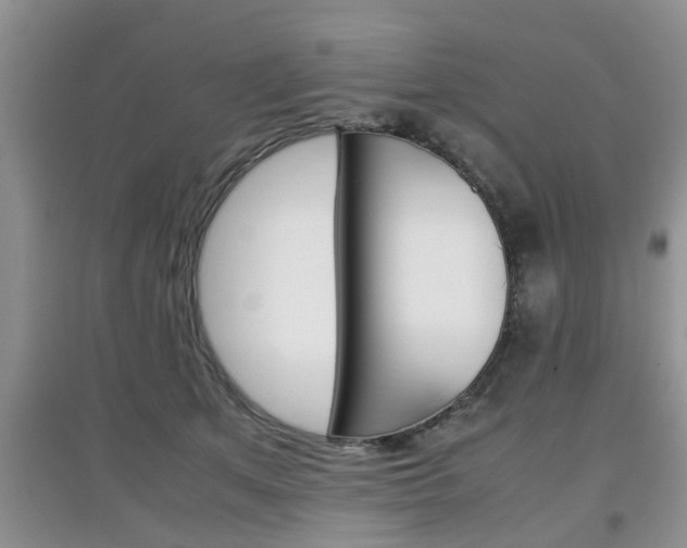 X0000097900513200803141009