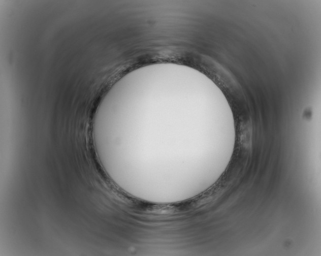 X0000097900514200803141009