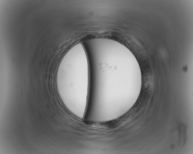 X0000097900515200803141009